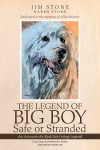 Cover The Legend of Big Boy Safe or Stranded