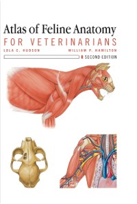 Cover Atlas of Feline Anatomy For Veterinarians