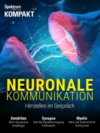 Cover Spektrum Kompakt - Neuronale Kommunikation