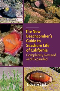 Cover The New Beachcomber’s Guide to Seashore Life of California