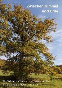 Cover Zwischen Himmel und Erde