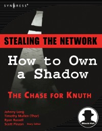 Cover Stealing the Network