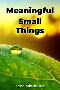 Cover Meaningful Small Things