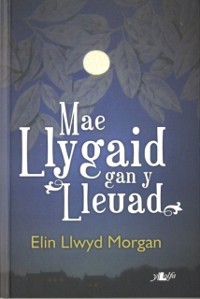 Cover Mae Llygaid gan y Lleuad