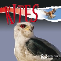 Cover Kites