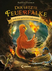 Cover Der letzte Feuerfalke und das geheime Labyrinth