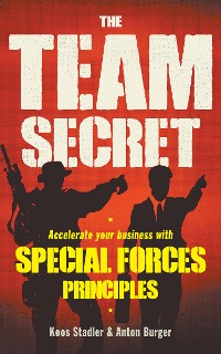 Cover The Team Secret