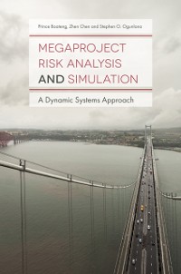 Cover Megaproject Risk Analysis and Simulation