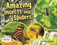 Cover Amazing Insects and Spiders