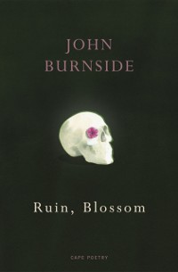 Cover Ruin, Blossom