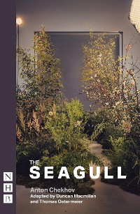 Cover The Seagull (NHB Modern Plays)