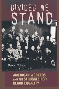 Cover Divided We Stand