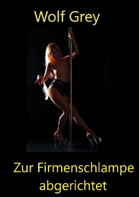 Cover Zur Firmenschlampe abgerichtet