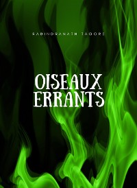 Cover Oiseaux errants (traduit)