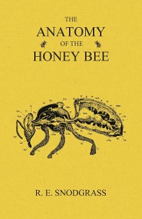 Cover The Anatomy of the Honey Bee