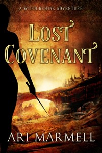 Cover Lost Covenant