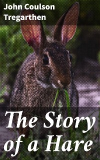 Cover The Story of a Hare