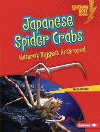 Cover Japanese Spider Crabs