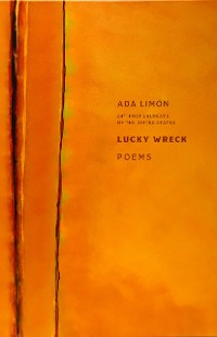 Cover Lucky Wreck