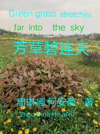 Cover 芳草碧连天 Green Grass Stretches Far Into The Sky