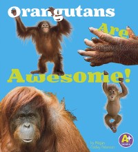 Cover Orangutans Are Awesome!