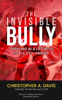 Cover Invisible Bully