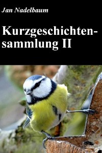 Cover Kurzgeschichtensammlung II