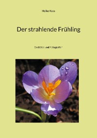 Cover Der strahlende Frühling