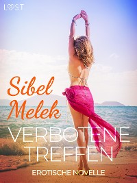 Cover Verbotene Treffen - Erotische Novelle