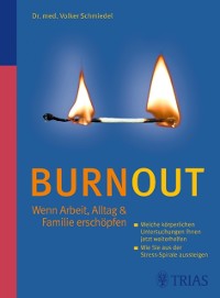 Cover Burnout