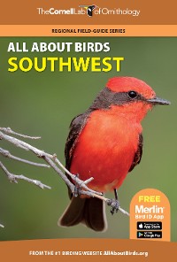 Cover All About Birds Southwest