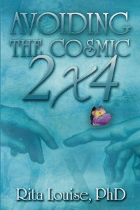 Cover Avoiding The  Cosmic 2x4