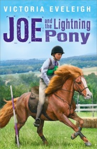 Cover Joe and the Lightning Pony