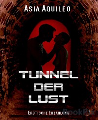 Cover Tunnel der Lust