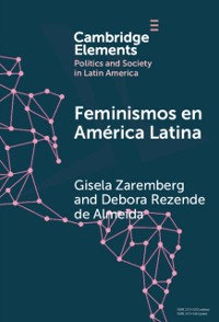 Cover Feminismos en America Latina