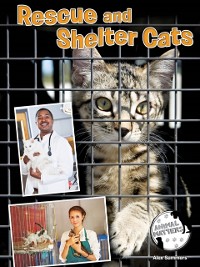Cover Rescue and Shelter Cats