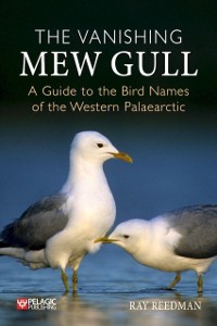 Cover Vanishing Mew Gull