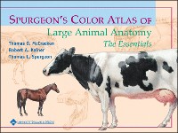 Cover Spurgeon's Color Atlas of Large Animal Anatomy