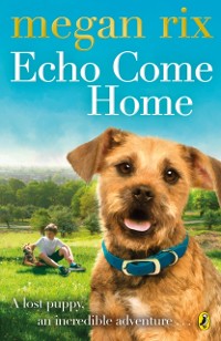 Cover Echo Come Home