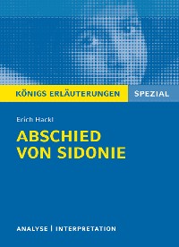 Cover Abschied von Sidonie