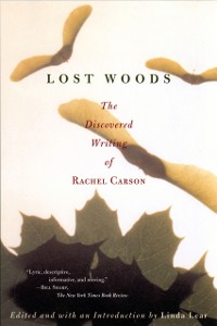 Cover Lost Woods