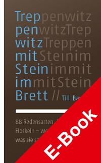 Cover Treppenwitz mit Stein im Brett