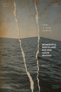 Cover Wonderful Wasteland and other natural disasters