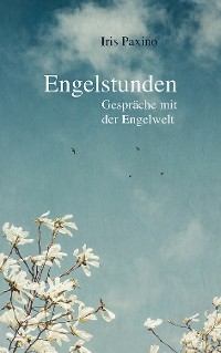 Cover Engelstunden