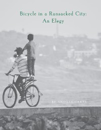 Cover Bicycle in a Ransacked City