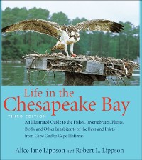 Cover Life in the Chesapeake Bay
