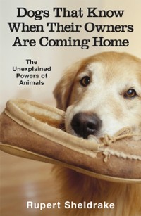Cover Dogs That Know When Their Owners Are Coming Home
