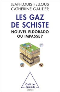 Cover Les Gaz de schiste