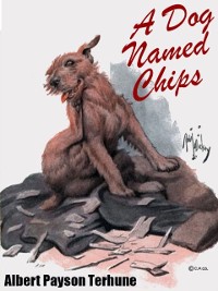 Cover A Dog Named Chips