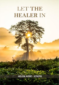 Cover LET THE HEALER IN